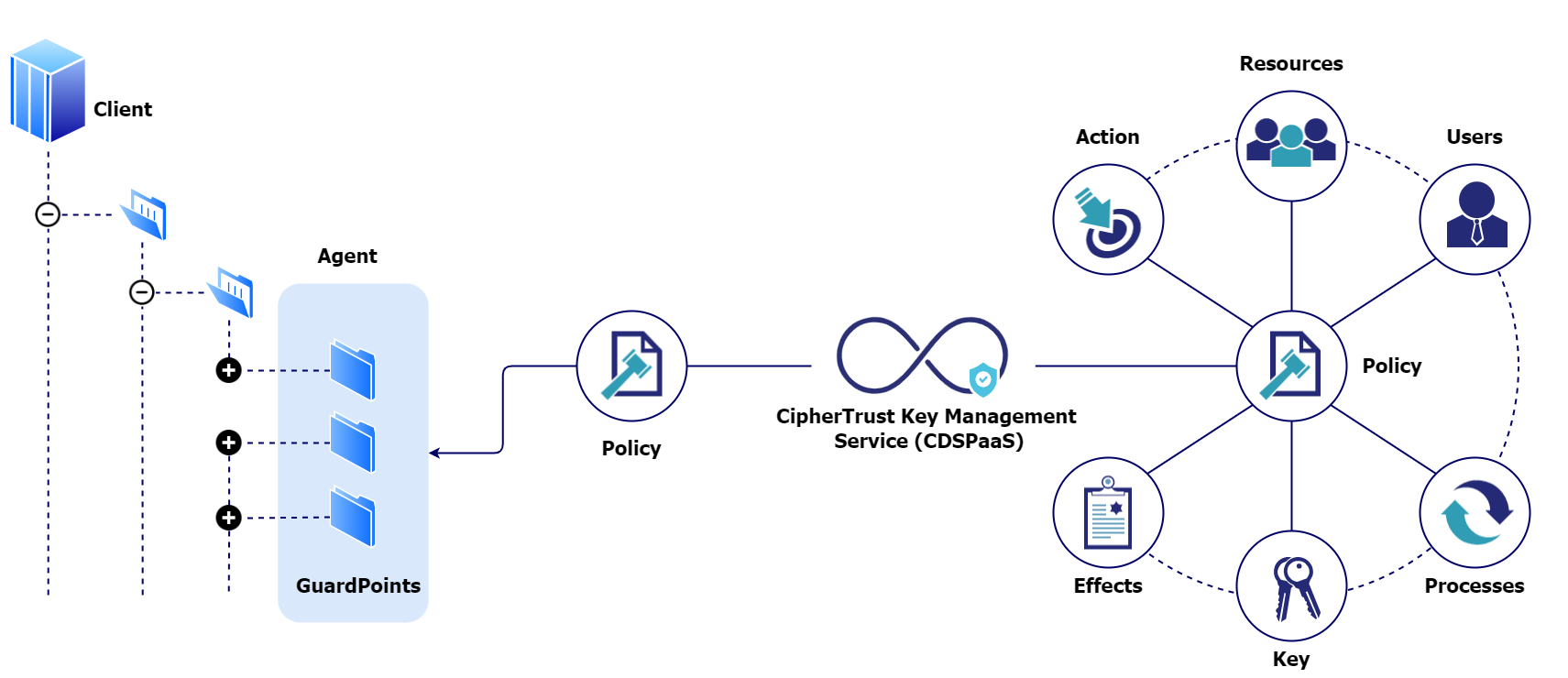 Policy Overview