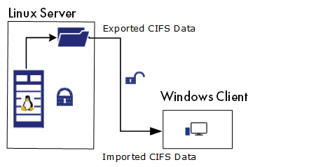 Windows Server