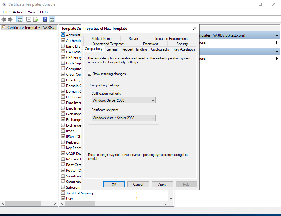 CA Template Properties CA Template Properties