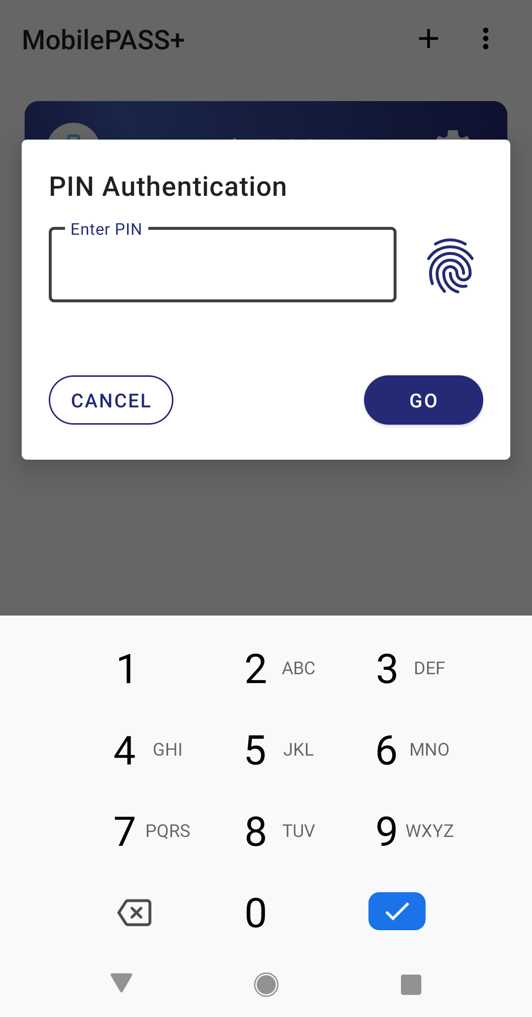 PIN prompt PIN prompt